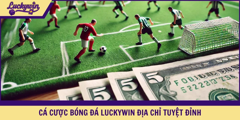 Cá cược bóng đá LUCKYWIN địa chỉ tuyệt đỉnh