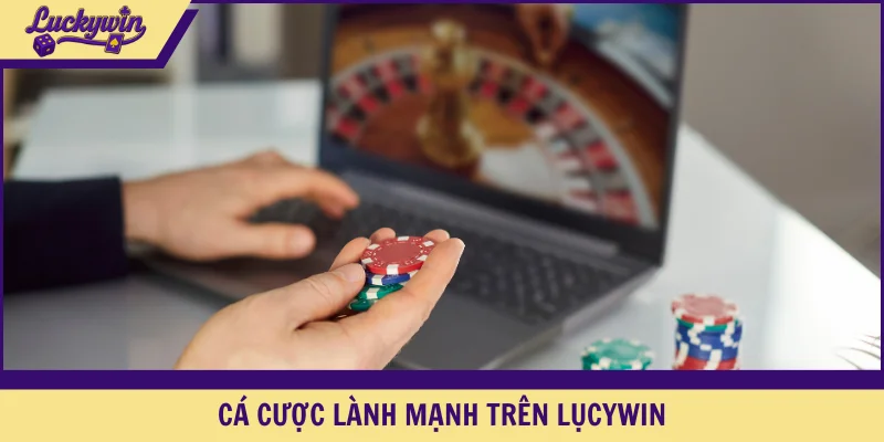 Cá cược lành mạnh khi có điều khoản rõ ràng