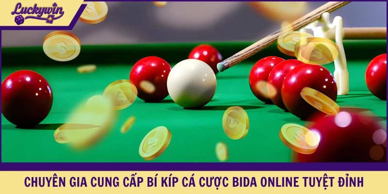 Chuyên gia cung cấp bí kíp cá cược bida online tuyệt đỉnh