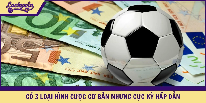 Có 3 loại hình cược cơ bản nhưng cực kỳ hấp dẫn