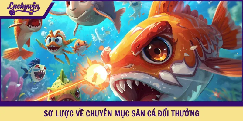 Sơ lược về chuyên mục săn cá đổi thưởng